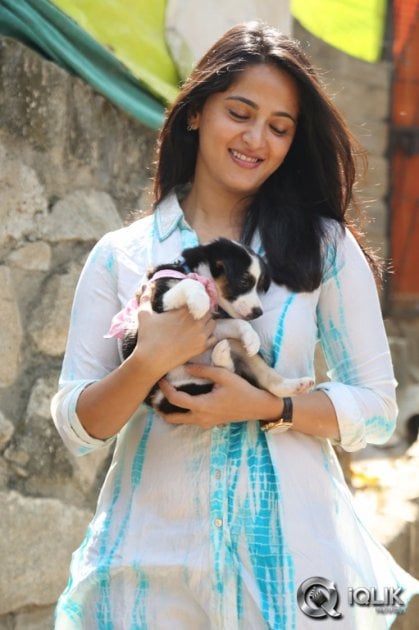 Anushka-at-Blue-Cross-Pet-Carnival-2014